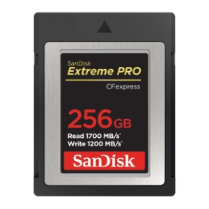 SanDisk memorijska kartica 256GB SDCFE-256G-GN4N