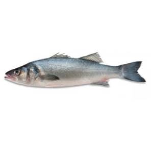 Brancin 1kg