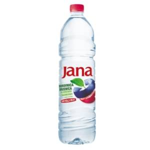 JANA borovnica i brusnica 500ml