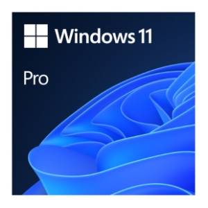 MICROSOFT Windows 11 Pro GGK (4YR-00316)