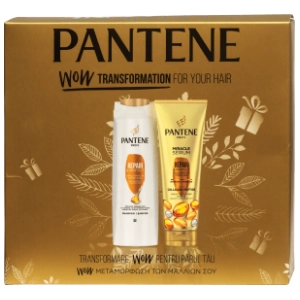 PANTENE set Repair & protect (šampon i regenerator za kosu)