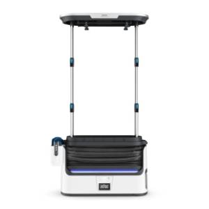 TEFAL pegla za vertikalno peglanje YT4050E1