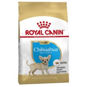 ROYAL CANIN hrana za pse chihuahua junior 500g