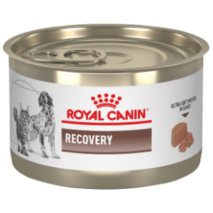 ROYAL CANIN Recovery hrana za pse i mačke 195g