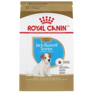 ROYAL CANIN Jack Russel terrier junior hrana za pse 3kg