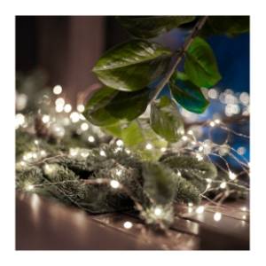 Lampice za jelku sa 50 belih LED dioda Home ML50/WH	