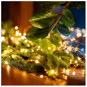 Lampice za jelku sa 50 toplo belih mikro LED dioda Home