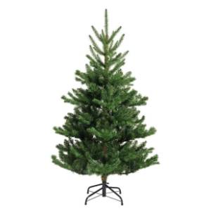 Novogodišnja jelka Alba fir 210cm Everlands