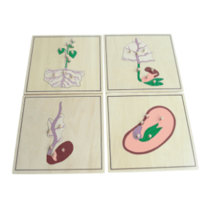 Botaničke puzzle MONTESSORI