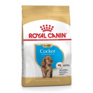 ROYAL CANIN Cocker junior hrana za pse 3kg