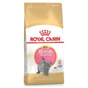 ROYAL CANIN hrana za mačke british shorthair 2kg