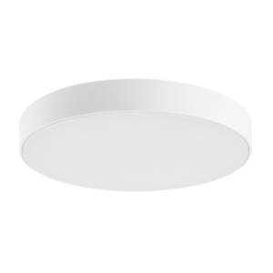 RABALUX spoljno plafonsko svetlo 24W fi 30cm Tartu 7894