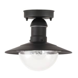 RABALUX spoljno plafonsko svetlo 60W E27 fi 24cm Oslo 8716