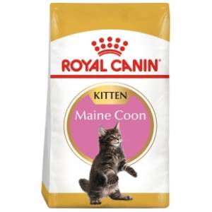 ROYAL CANIN hrana za mačke maine coon 2kg
