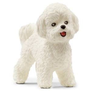 Figura Bishon Frize SCHLEICH