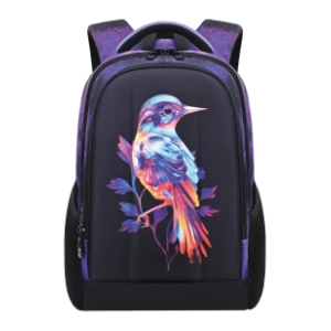 Ranac za školu ojačana leđa S-COOL Bird