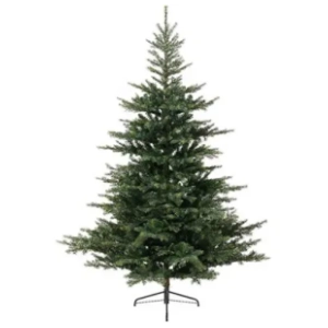 Novogodišnja jelka Nobilis fir 300cm Everlands