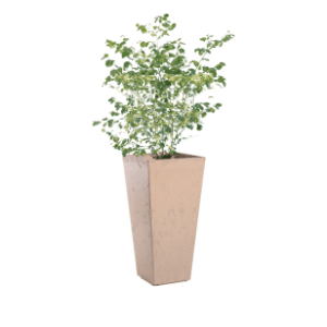 Saksija MULTY HOME Sonata 70cm kapućino