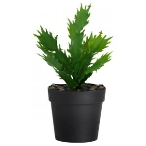 Saksija WALLXPERT Decorative pot 21cm 241347