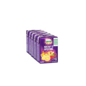 Voćni sok SOLEVITA multivitamin 100% 200ml