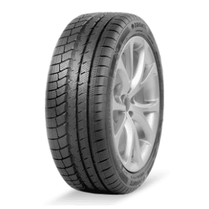 DAVANTI zimska guma Wintoura Plus 255/35 R19 96V