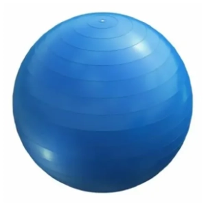 GORILLA SPORTS plava lopta za pilates 55 cm