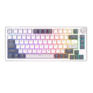 ROYAL KLUDGE bežična tastatura RKH81 Brown Switch White US