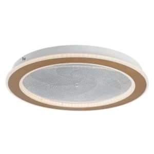 RABALUX LED plafonjera 24W Efrael 71281