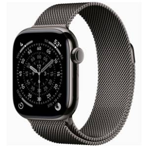 APPLE Watch S11 Cellular 42mm Slate Titanium MF8U4RK/A pametni sat