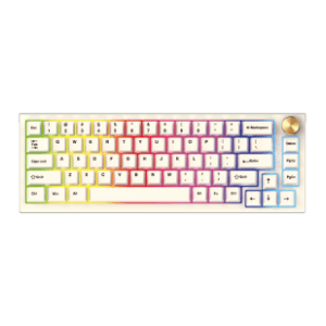 FANTECH bežična tastatura MK858 Maxfit67 Space (white switch)