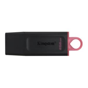 KINGSTON USB flash memorija 256GB DataTraveler Exodia (DTX-256GB)
