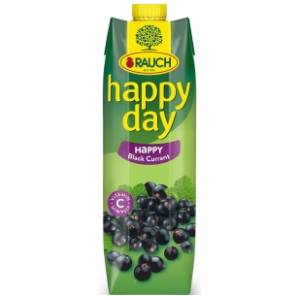 Voćni sok HAPPY DAY crna ribizla 1l