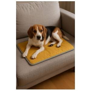 PAWS & WHISKERS Thermo mat krevet za ljubimce 40x60cm žuti