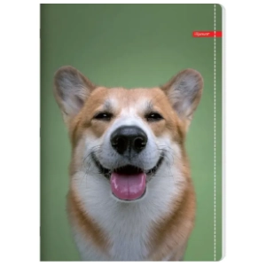 Sveska A4 karo ILIJANUM pets 52lista 1kom