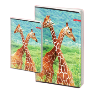 Sveska A4 karo ILIJANUM Wild animals 60lista 1kom