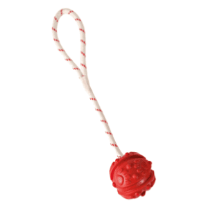 TRIXIE lopta sa ispupčenjima na kanapu 35cm