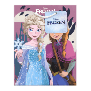 Ukrasna kesa M Frozen 564047 1kom