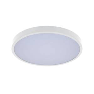 RABALUX LED plafonjera 24W Alenzo 71427