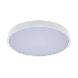RABALUX LED plafonjera 24W Alenzo 71428