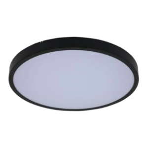 RABALUX LED plafonjera 24W Alenzo 71437