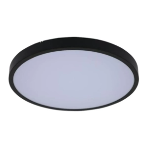 RABALUX LED plafonjera 24W Alenzo 71438