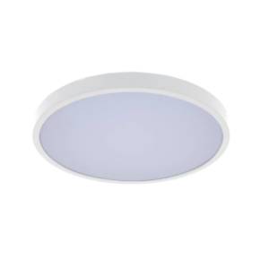 RABALUX LED plafonjera 36W Alenzo 71430