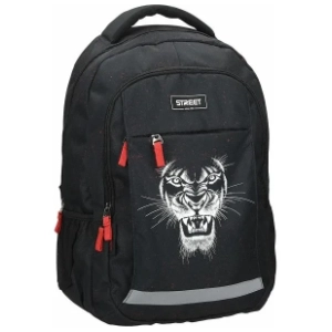 Ranac za školu STREET Alfa lion 2022