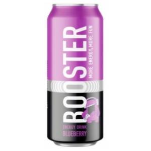 BOOSTER blueberry 0,5l