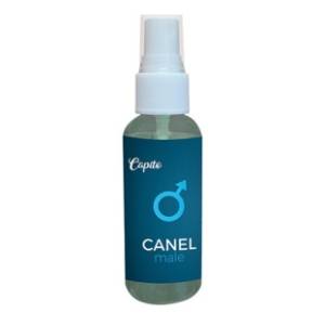 CAPITO Canel light parfem za mužijake 50ml