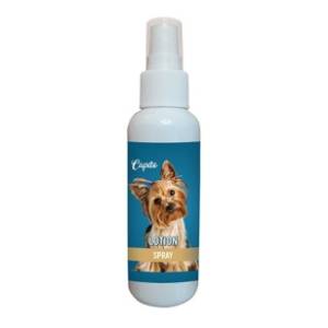 CAPITO losion sprej za pse 100ml