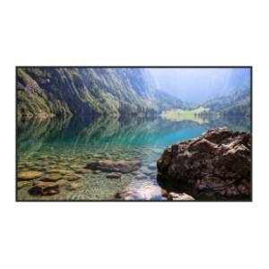 HISENSE displej 55'' ADS 4K 55WH80F (Window Facing - High Brightness)