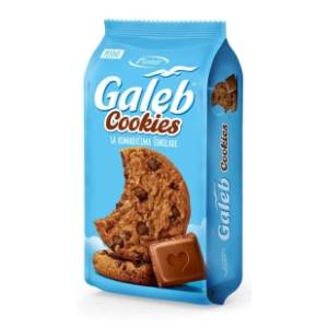 Keks PIONIR Galeb cookies sa čokoladom 145g