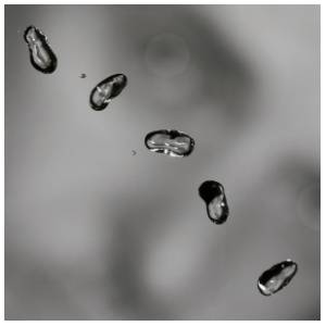 Peter Gabriel - Up