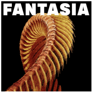 Slift - Fantasia
